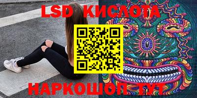 тгк Новодвинск
