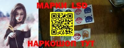 тгк Новодвинск