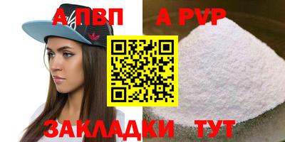 тгк Новодвинск
