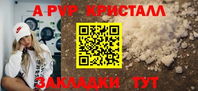 тгк Новодвинск