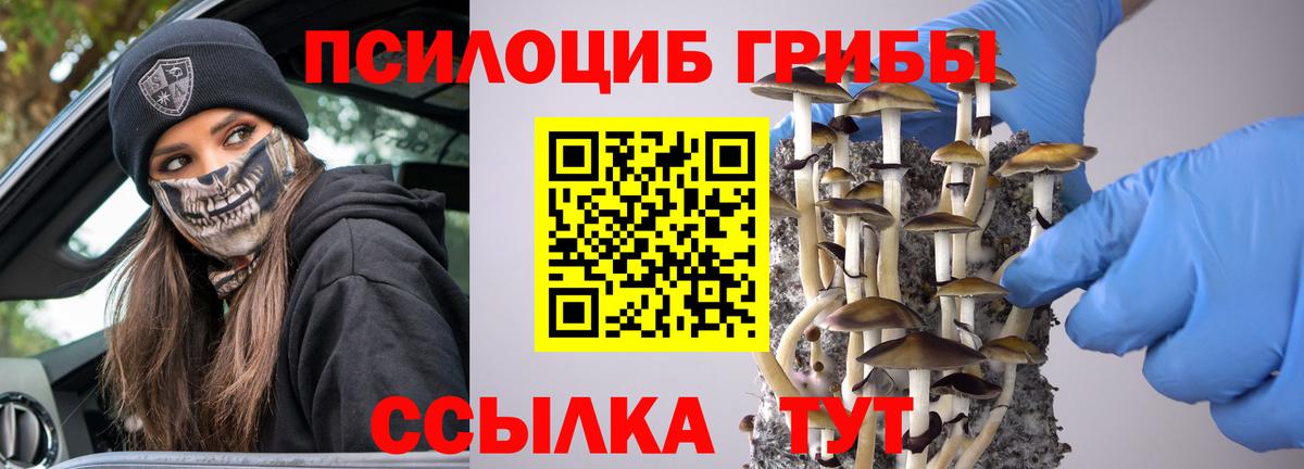 Галлюциногенные грибы Psilocybine cubensis  Вход с VPN  Тамбов 