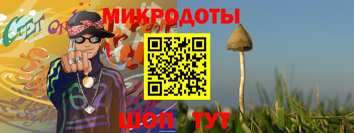 Галлюциногенные грибы Psilocybine cubensis Тамбов